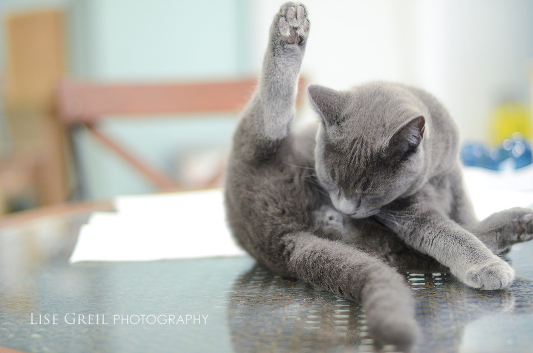 Andy