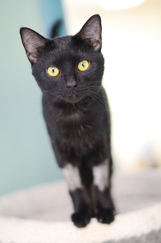 Salem