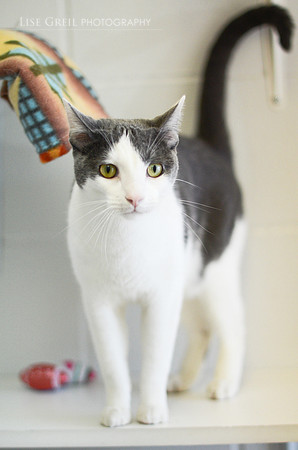 Mittens