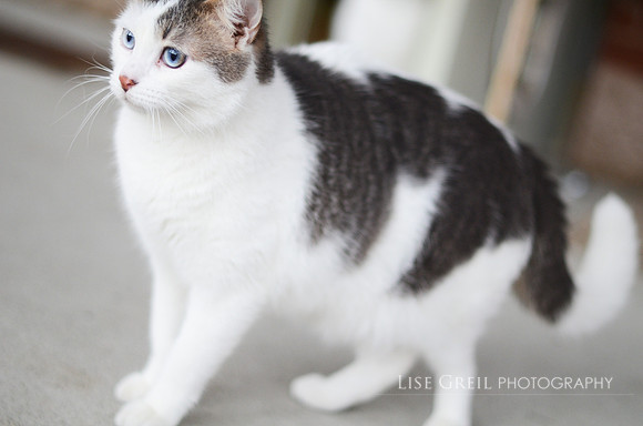 Oliver