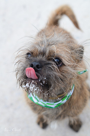 Chewy