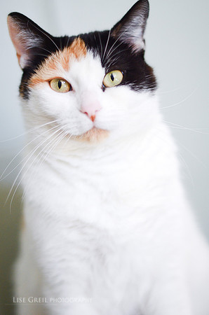 Miss Maxine