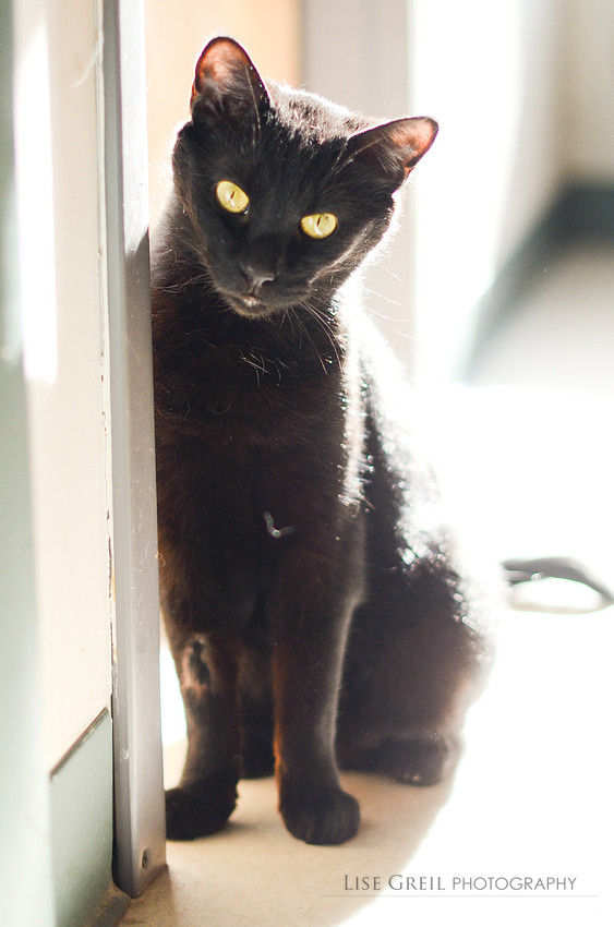 Eddie