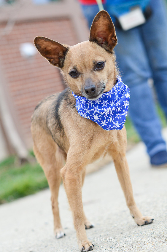 Nadia