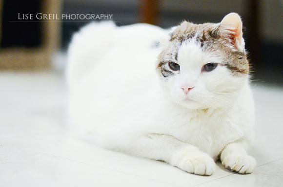 Rupert