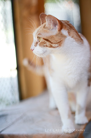 Jack