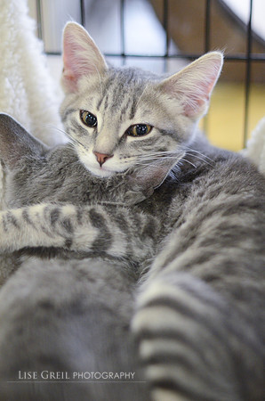 Dan & Mookie