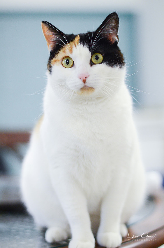Miss Maxine
