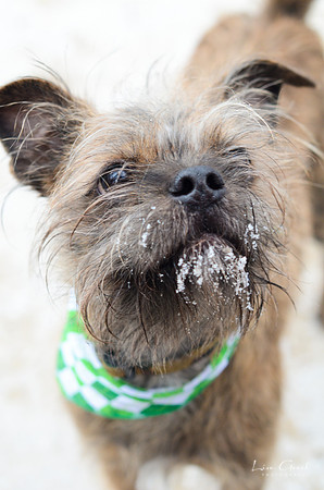 Chewy
