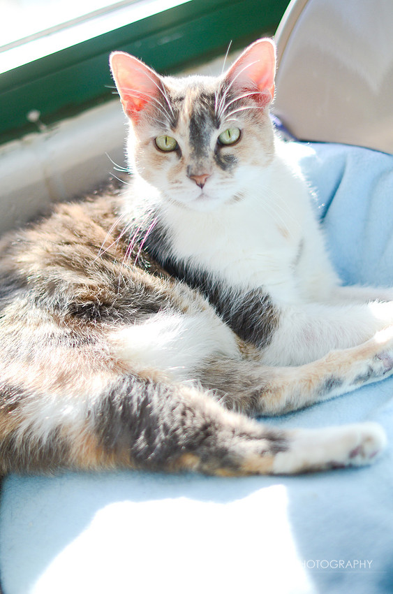 Kiki