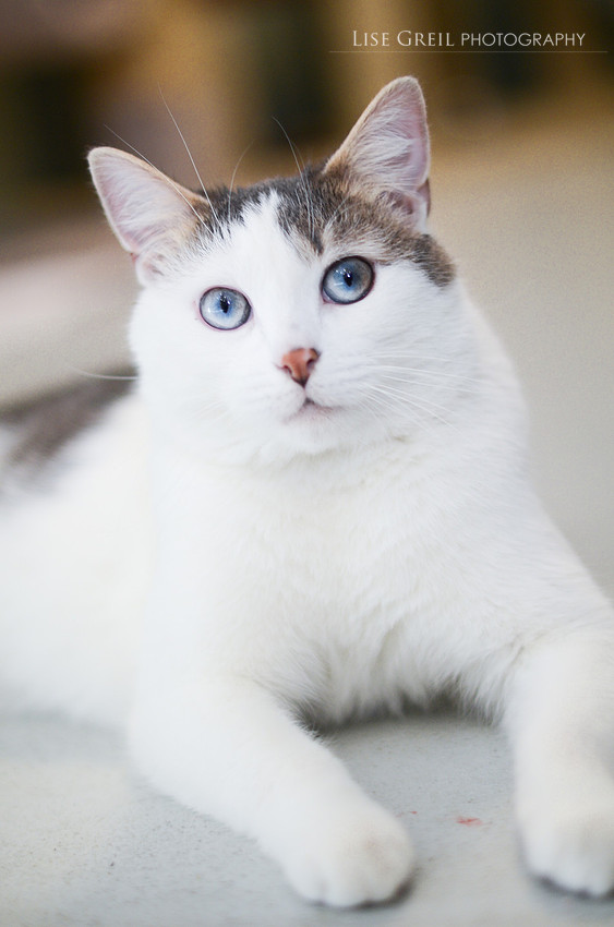 Oliver