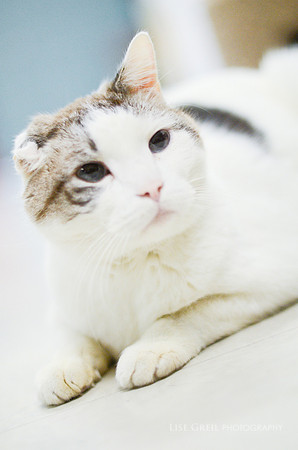Rupert