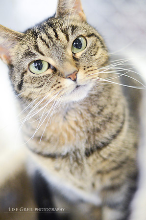 Eleanor