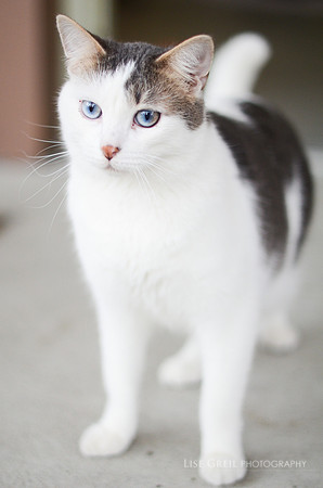 Oliver