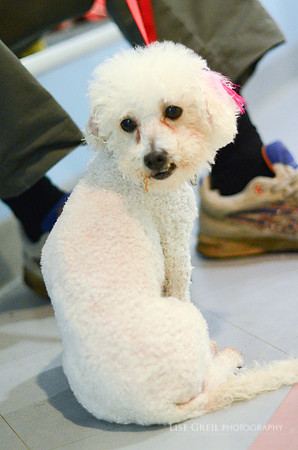 Wilma