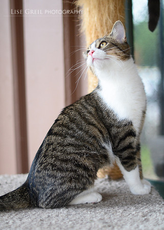 Chloe