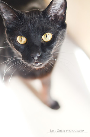 Eddie