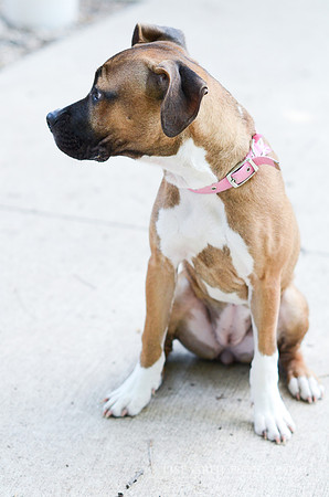 Wilma