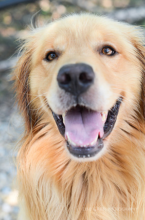 Duke