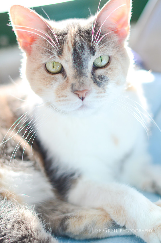 Kiki
