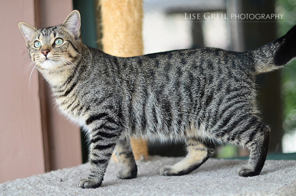 Walter