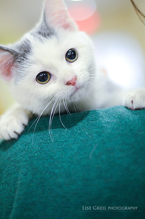 Lily