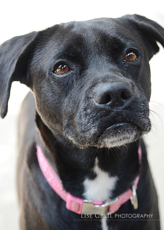 Sadie