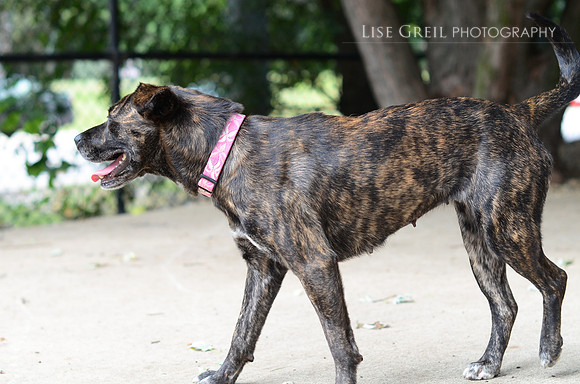 Sally Jane