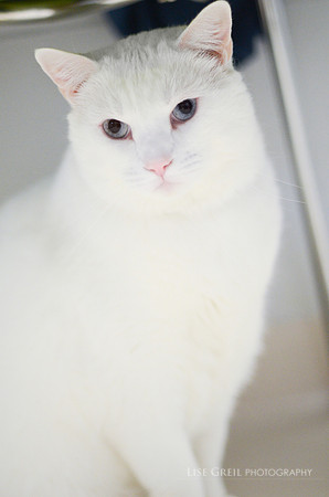 Blu