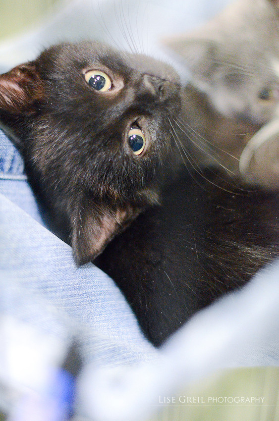 Castiel