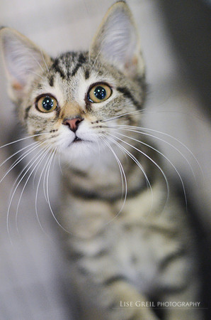 Pepper Pots