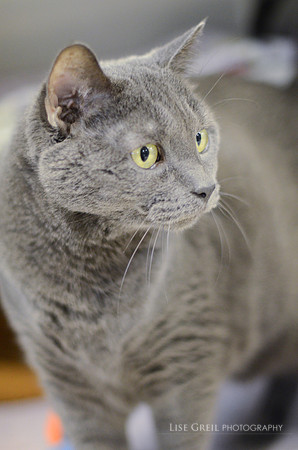 Smokey