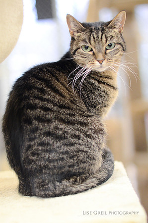 Eleanor