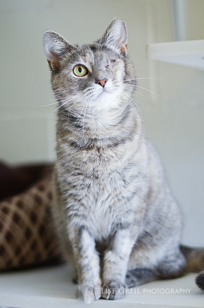 Zoe
