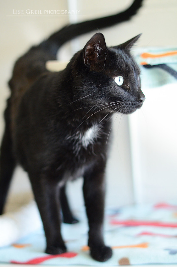 Charlie