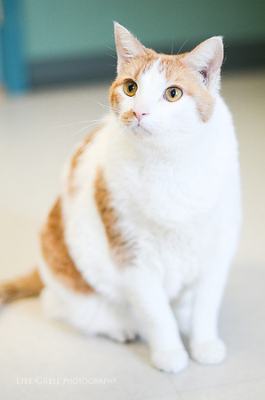 Sammy