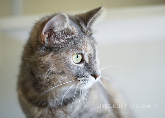 Zoe