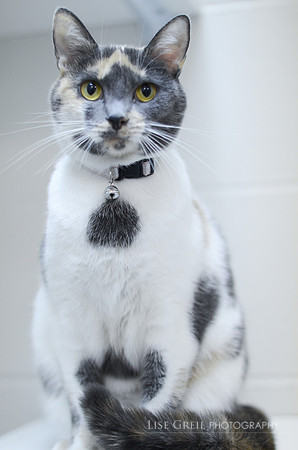 Coco