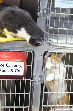Missy and Clause