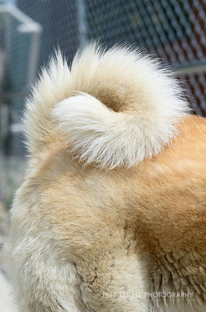 Kita