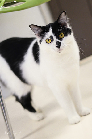 Georgia