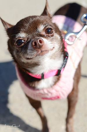 Dorothy