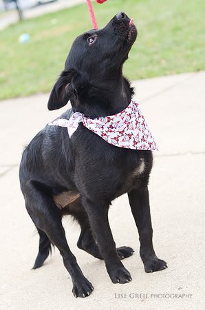 Betty Lou