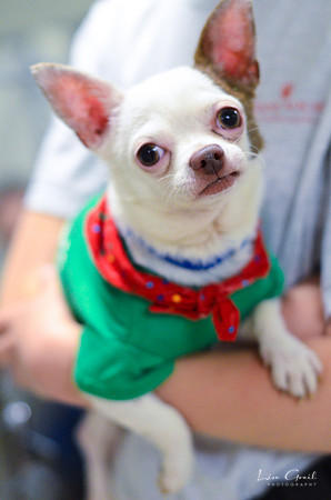 Bugsy Joe