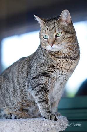 Sebastian
