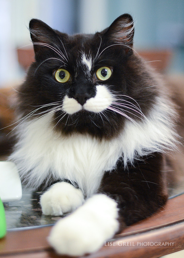 Thomas