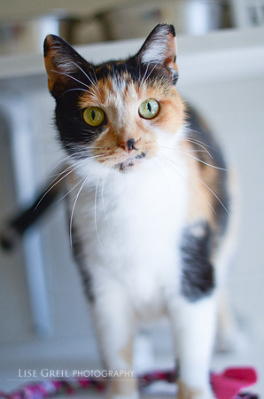 Coco