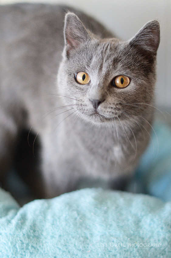 Fiona