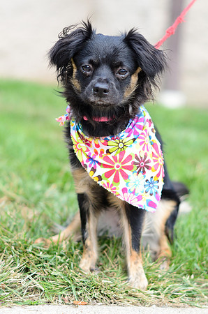 Lilly