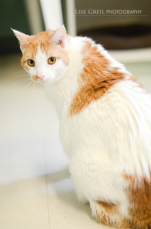 Sammy